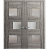 Solid French Modern Door with Opaque Glass | Closet Bedroom Modern Doors | Buy Doors Online