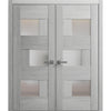 Solid French Modern Door with Opaque Glass | Closet Bedroom Modern Doors | Buy Doors Online