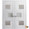 Solid French Modern Door with Opaque Glass | Closet Bedroom Modern Doors | Buy Doors Online