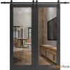 Sturdy Barn Door with Clear Glass | Modern Solid Panel Interior Doors | Buy Doors Online