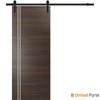 Sturdy Barn Door with Hardware | Modern Solid Panel Interior Doors | Buy Doors Online