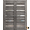 Solid French Door with Frosted Glass | Bathroom Bedroom Sturdy Doors | Quadro 4445