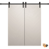 Modern Barn Door | Solid Panel Interior Doors | Ego 5005