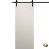 Modern Barn Door | Solid Panel Interior Doors | Ego 5005