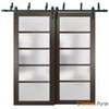 Barn Bypass Doors with Frosted Opaque Glass | Solid Panel Interior Doors | Buy Doors Online