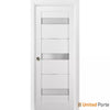 Panel Lite Pocket Door with Frosted Opaque Glass | Solid Wood Interior Sturdy Door | Buy Doors Online