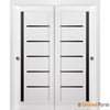 Sliding Closet Bypass Door with Black Glass | Wood Solid Bedroom Wardrobe Doors | Buy Doors Online