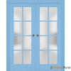 Sliding French Pocket Door with Frosted Glass | Solid Wood Interior Bedroom Sturdy Doors | Buy Doors Online