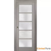 Sliding French Pocket Door with Frosted Opaque Glass | Solid Panel Interior Doors | Buy Doors Online