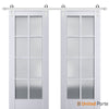 Sturdy Barn Door with Frosted Glass | Solid Panel Interior Doors | Buy Doors Online