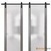 Sturdy Barn Door  with Frosted Tempered Glass | Modern Solid Panel Interior Doors | Buy Doors Online